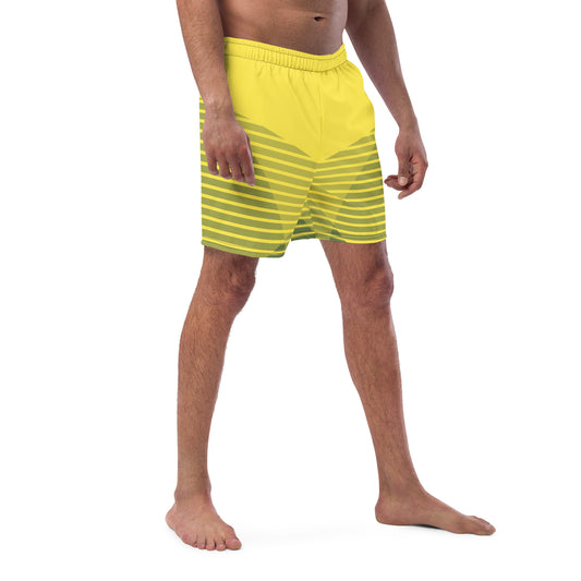 Men's Swimsuit TO