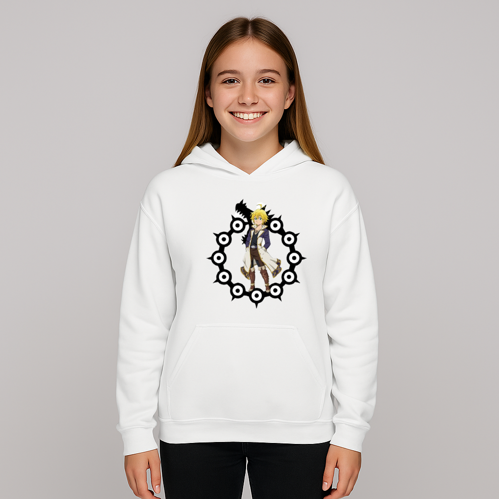 Sweat à capuche épais TSDS