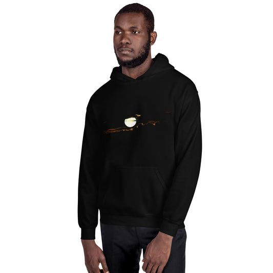 Sweat à capuche COS