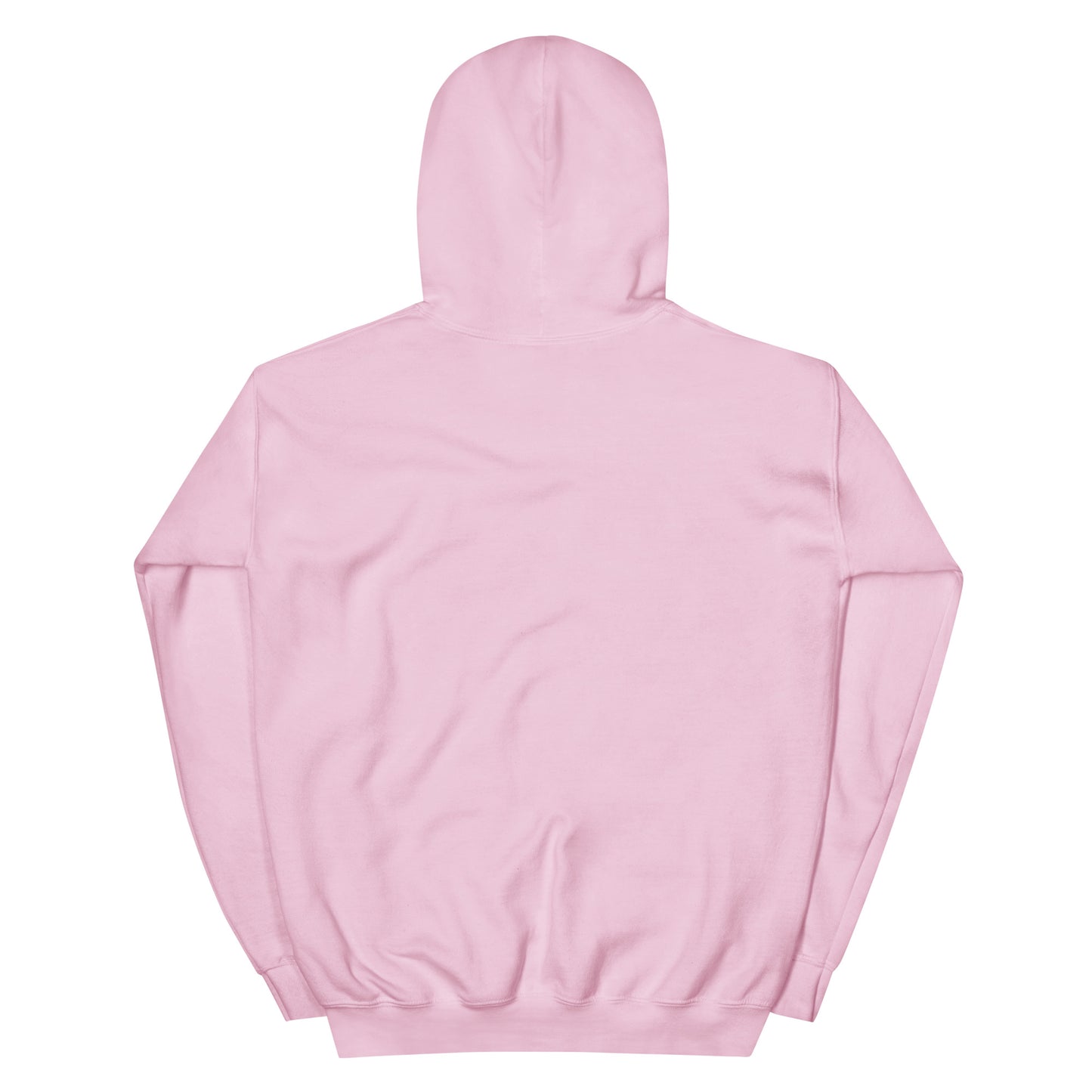 Sweat à capuche FRA