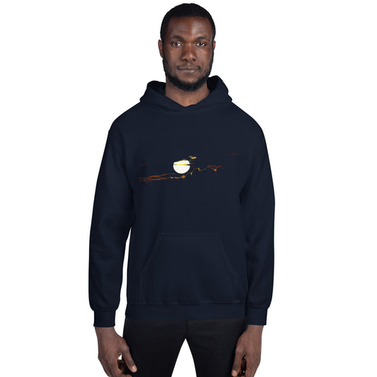 Sweat à capuche COS
